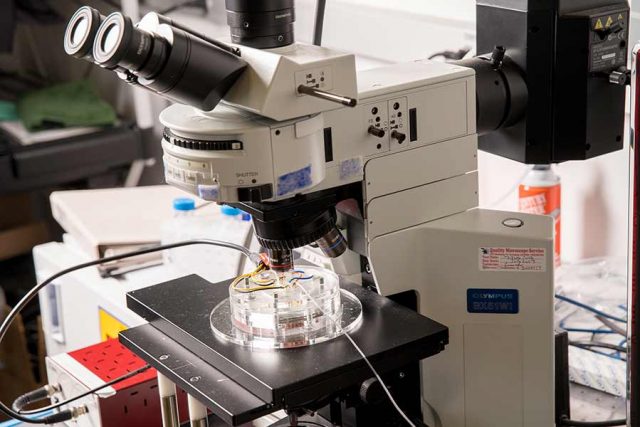 The Benefits of Regular Cancer Screenings: What You Need to Know