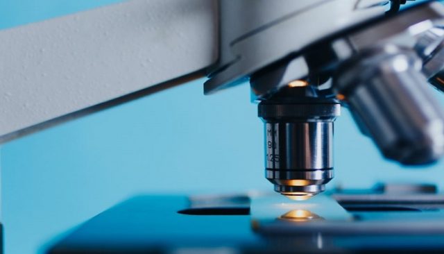 The Importance of Early Detection: Cancer Screening Guidelines and Recommendations