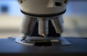 The Importance of Genetics in Cancer Development The Importance of Genetics in Cancer Development