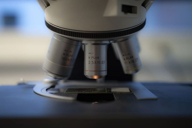 The Importance of Genetics in Cancer Development