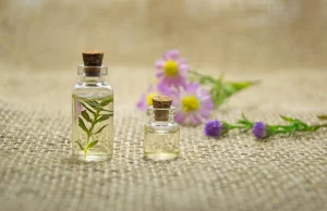The Power of Aromatherapy in Cancer Care The Power of Aromatherapy in Cancer Care