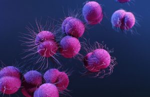 The Role of Genetics in Cancer: How Inherited Traits Influence Risk The Role of Genetics in Cancer: How Inherited Traits Influence Risk