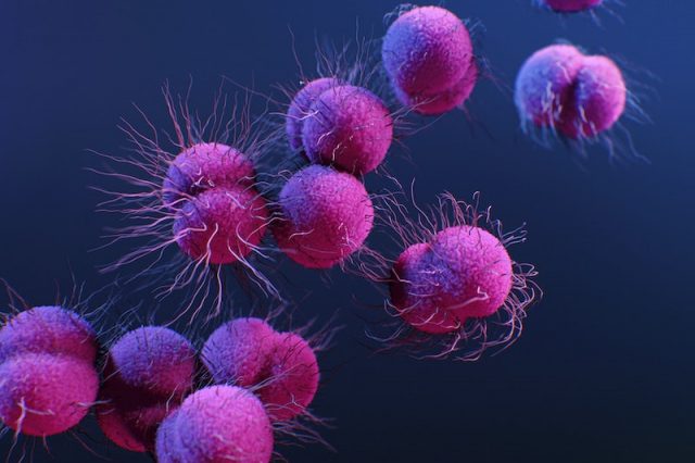 The Role of Genetics in Cancer: How Inherited Traits Influence Risk