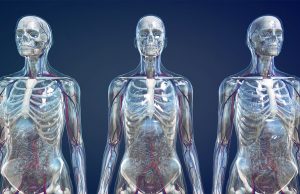 What is Bone Cancer? What is Bone Cancer?