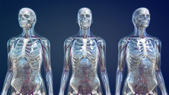 What is Bone Cancer?