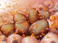 What is Multiple Myeloma? What is Multiple Myeloma?