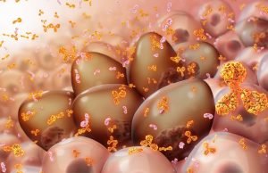 What is Multiple Myeloma? What is Multiple Myeloma?