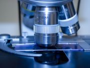 The Importance of Cancer Screening for Men and Women: What You Need to Know The Importance of Cancer Screening for Men and Women