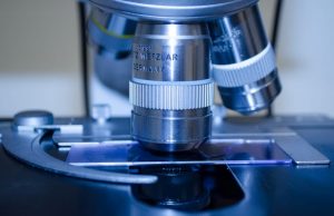 The Importance of Cancer Screening for Men and Women: What You Need to Know The Importance of Cancer Screening for Men and Women