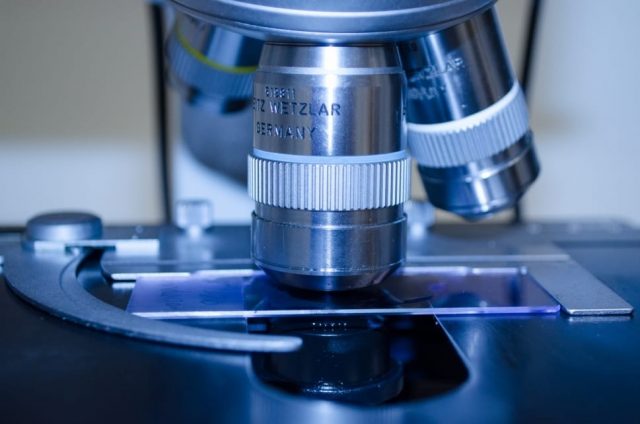 The Importance of Cancer Screening for Men and Women