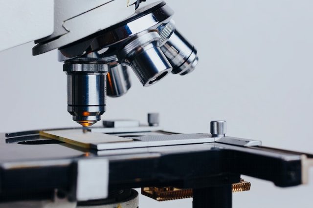 The Role of Primary Care Physicians in Cancer Screening and Prevention