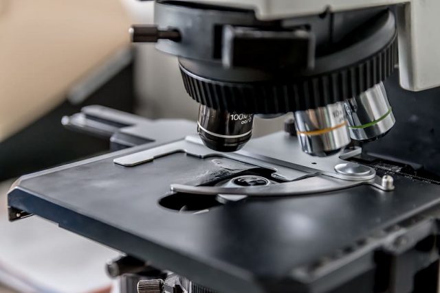 What to Expect During a Cancer Screening: Tips for Reducing Anxiety and Fear