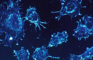 The Cutting Edge of Early Detection: Unveiling the Latest Advances in Cancer Screening The Cutting Edge of Early Detection: Unveiling the Latest Advances in Cancer Screening